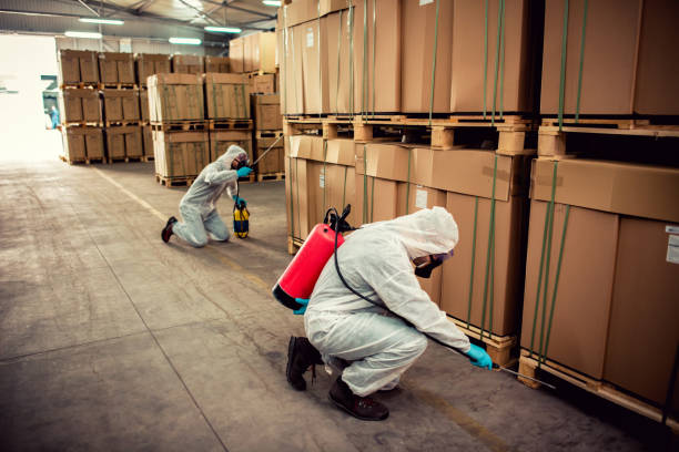 Best Ant Control Services  in Santa Paula, CA