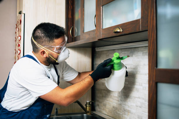 Best Wildlife Control Services  in Santa Paula, CA