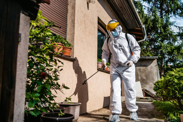 Best Bird Control  in Santa Paula, CA