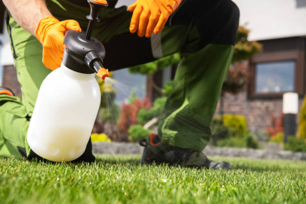 Santa Paula, CA Pest Control Company