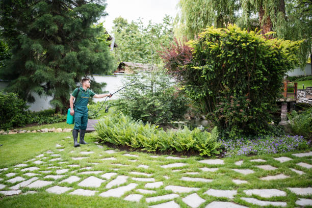 Best Bird Control  in Santa Paula, CA