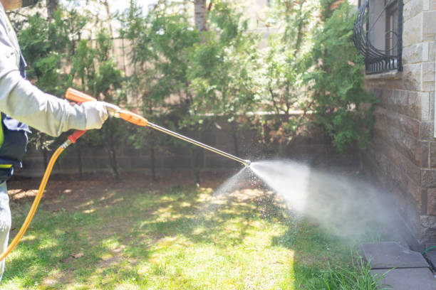 Best Pest Control Near Me in Santa Paula, CA