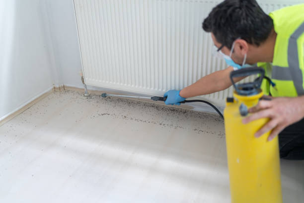 Best Cockroach Control Services  in Santa Paula, CA